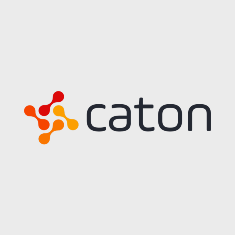 Caton Digital Technology Corporation