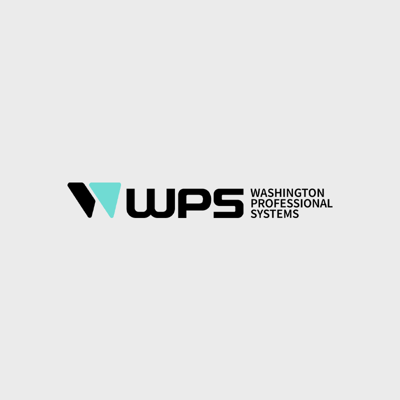 Levin Professional Services D/B/A Washington Professional Systems